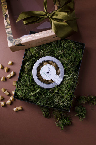 NR. 10 MAŽAS RINKINYS "RAMYBĖ KVADRATU"