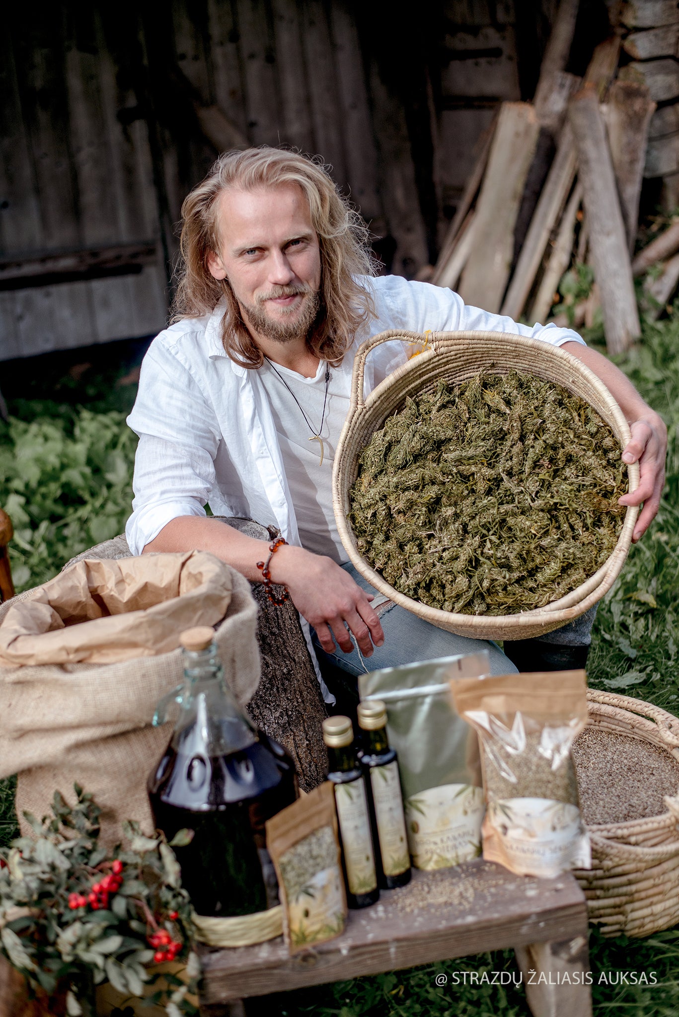 Kanapių arbata, kanapiu arbata, natūrali kanapių arbata, naturali kanapiu arbata, strazdu zaliasis auksas